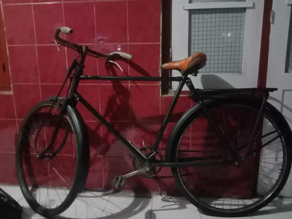 Jual sepeda kebo