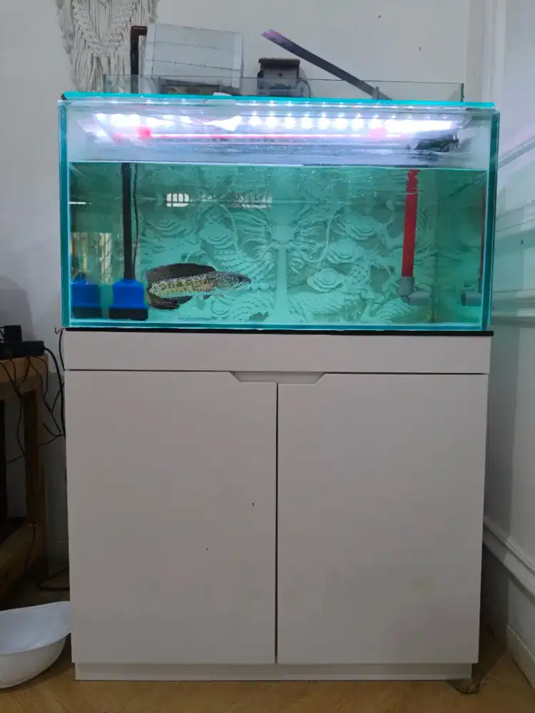 Aquarium Fullset