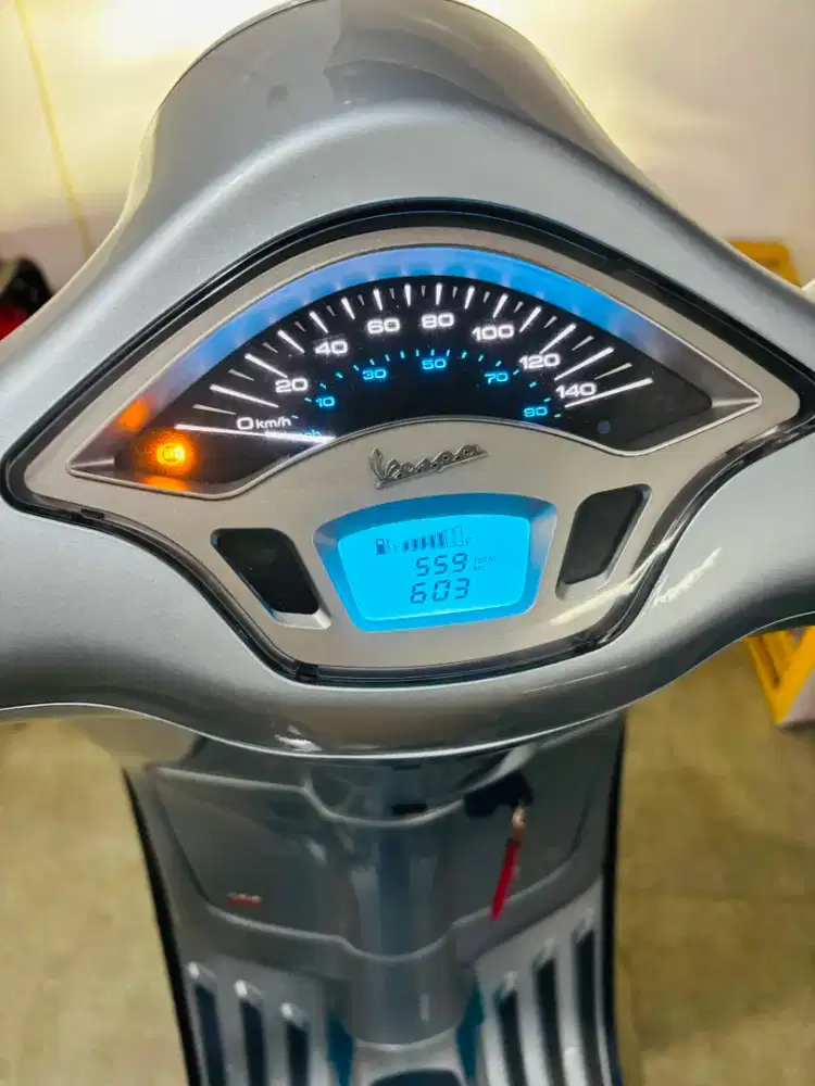 Vespa primavera nik 2025