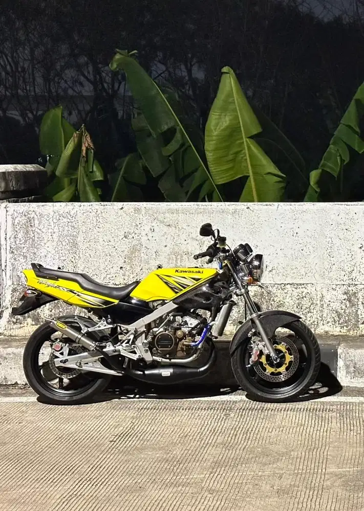 Nina SS Asli Kuning 2013