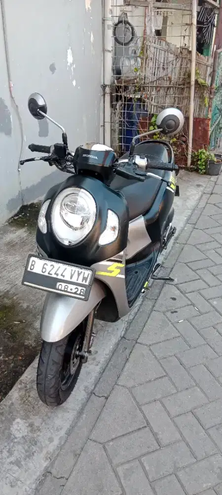 Scoopy tahun 2023