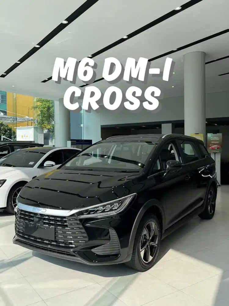 PROMO GIIAS BYD M6 DM