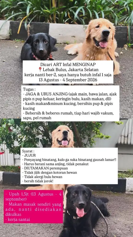 DICARI INFAL ART MENGINAP