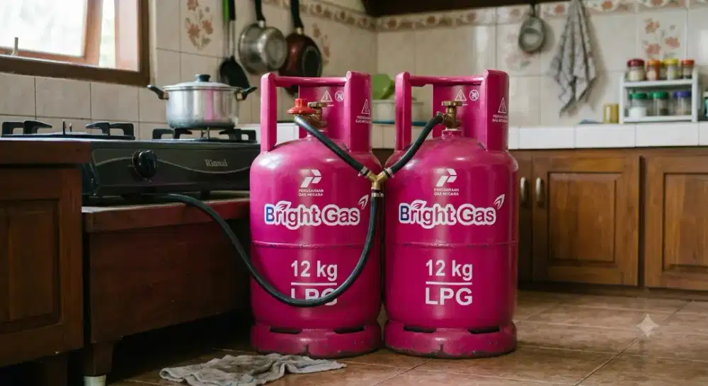 Bright gas pink 12kg