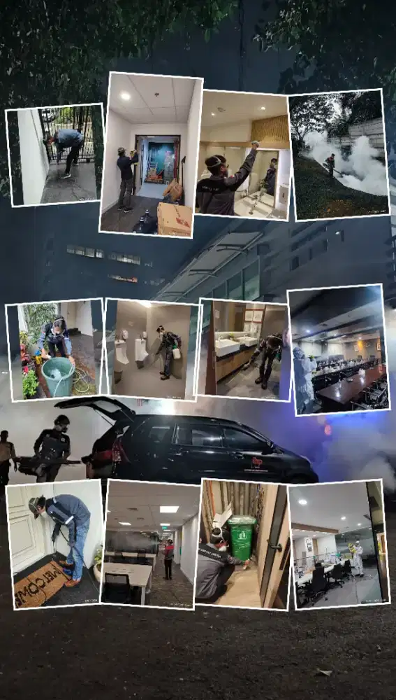 Jasa pengendalian hama / pest control