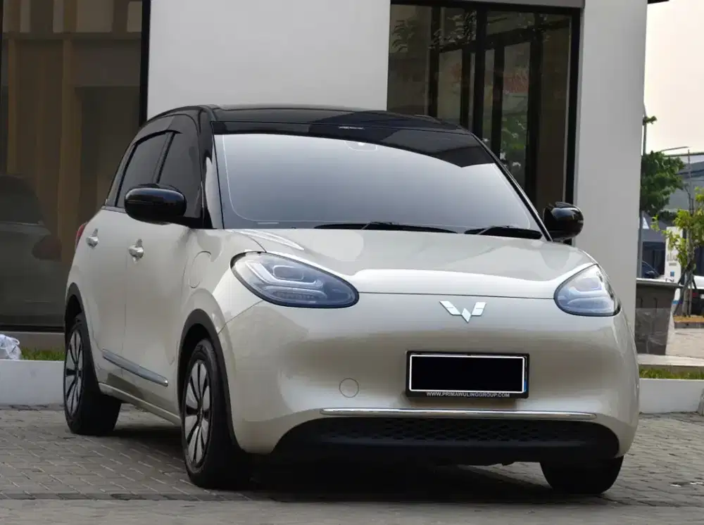 Wuling Binguo EV Long Range