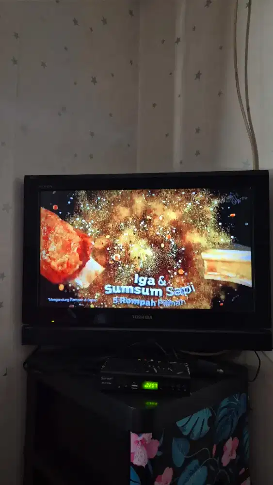 TV Toshiba 24 inch bekas