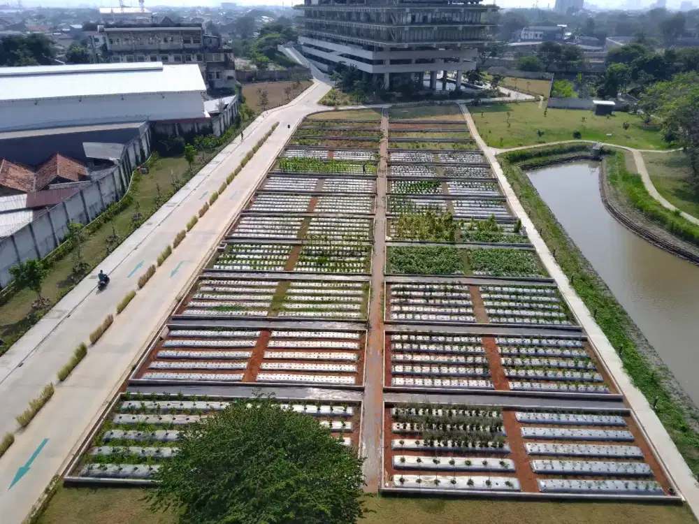 Saya sedang mencari pekerjaan dibidang pertanian