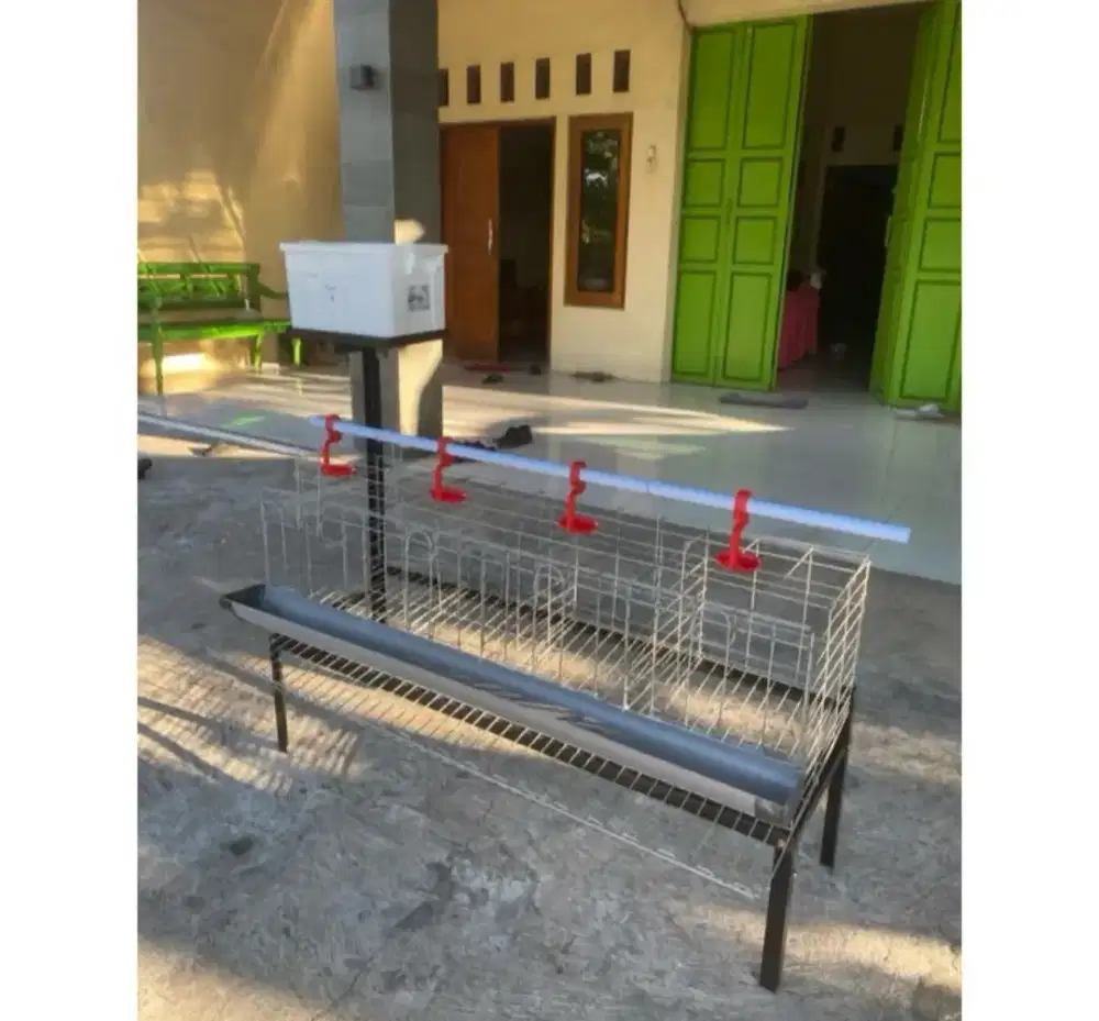Kandang batrai ayam petelur kapasitas 4 s/d 8 ekor