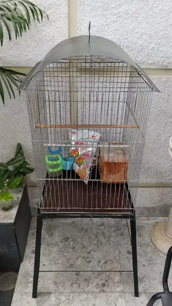 Jual kandang burung beo