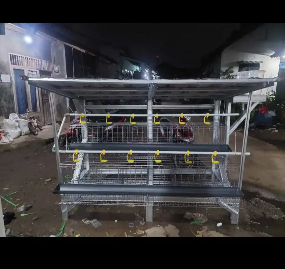 Kandang ayam petelur galvanis