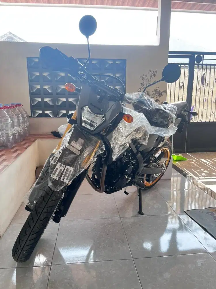 Kawasaki KLX230 SM SE