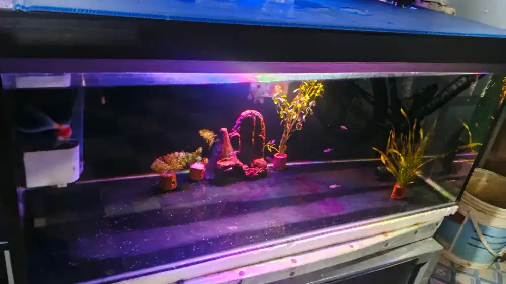 AQUARIUM UK 90X40X40