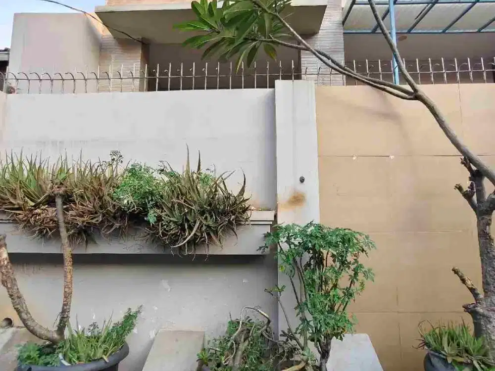 Rumah Bagus Sawah Besar Pasar Baru Jakarta Pusat Dijual Cepat