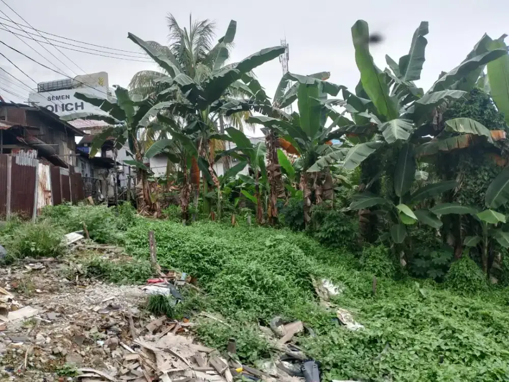 Tanah disewakan di pinggir jalan besar