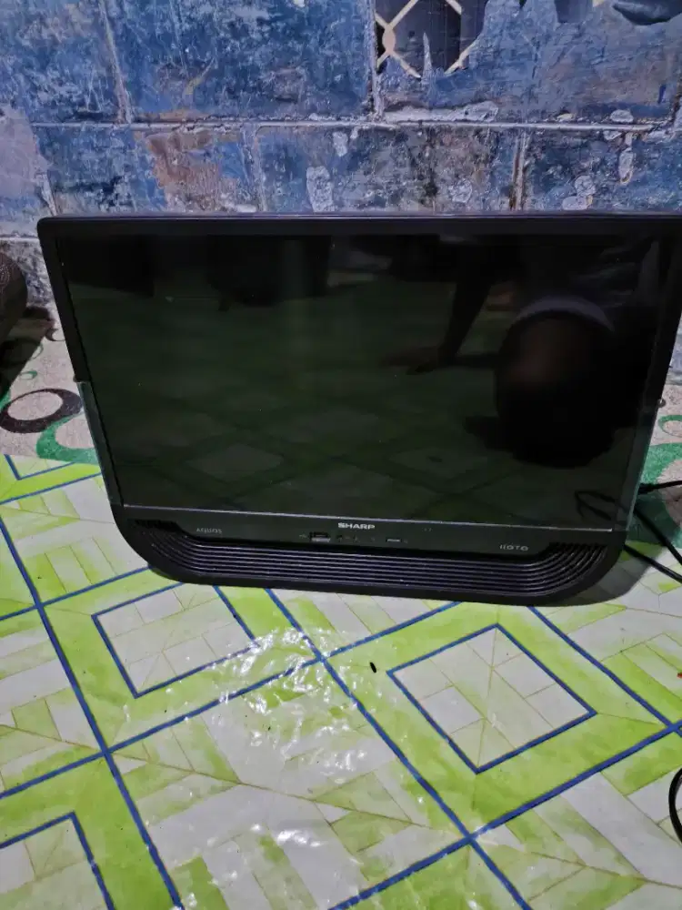 TV SHARP 22 INC ANALOG