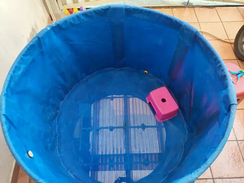 Kolam VAT Karantina Koi