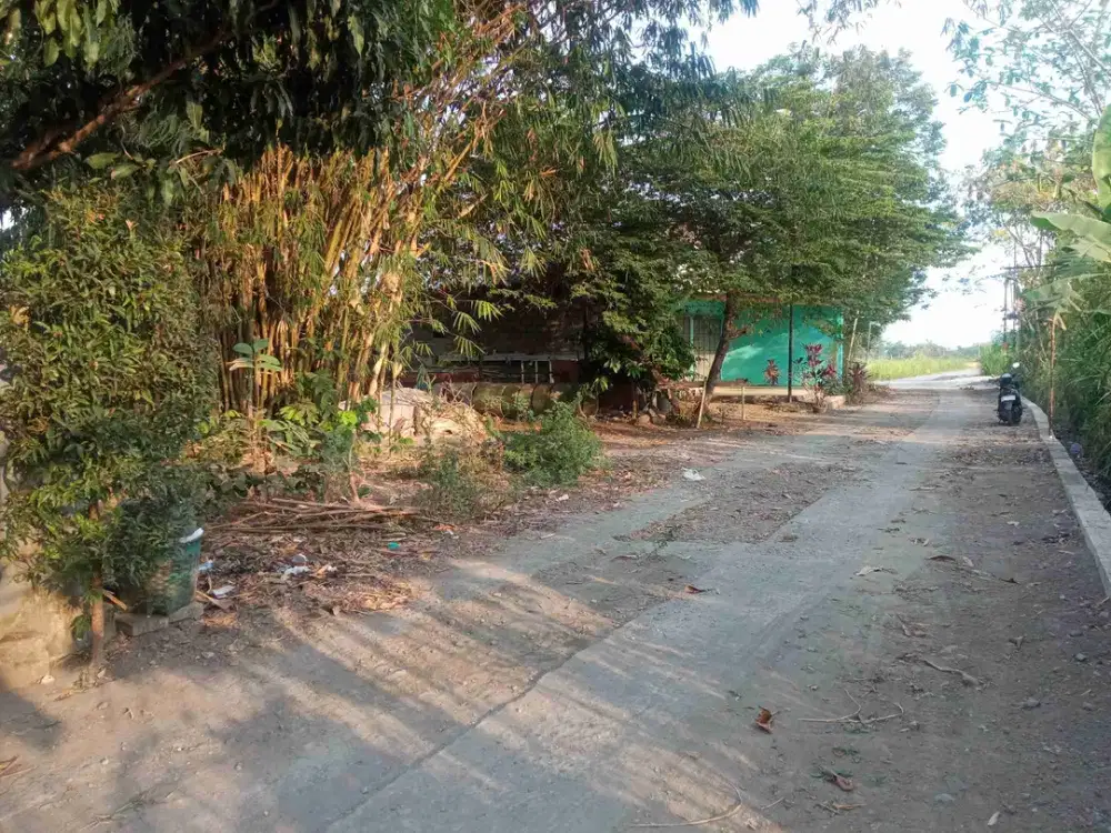 JUAL TANAH DEKAT KAMPUS UNRIYO MAGUWO
