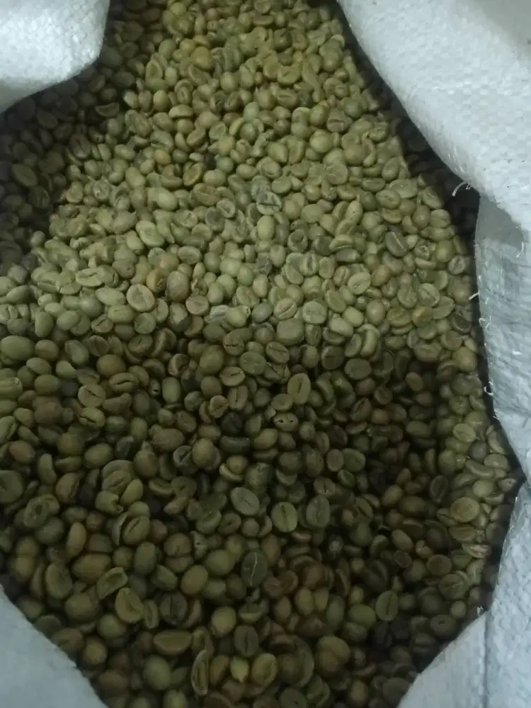 Kopi robusta berkwalitas