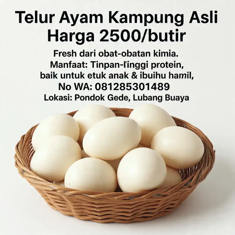 Telur ayam kampung