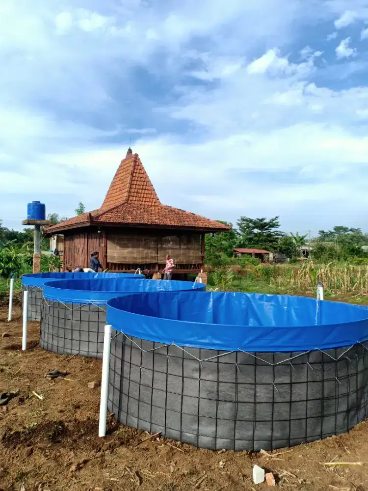 Kolam Bioflok Orchid Premium