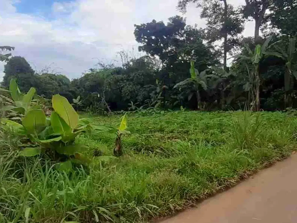 Dijual Tanah Lapang Murah 1115 m2, cocok untuk investasi, bisa untuk perumahan, SHM, lokasi strategis di cogreg, parung, bogor