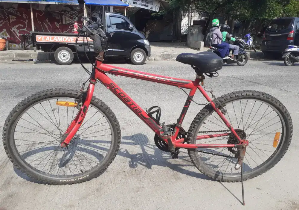GENIO SCOATIA size 26 frame steel normal