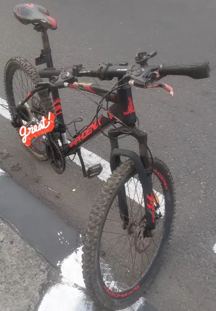 Sepeda Mtb NewPHOENIX steel size 24