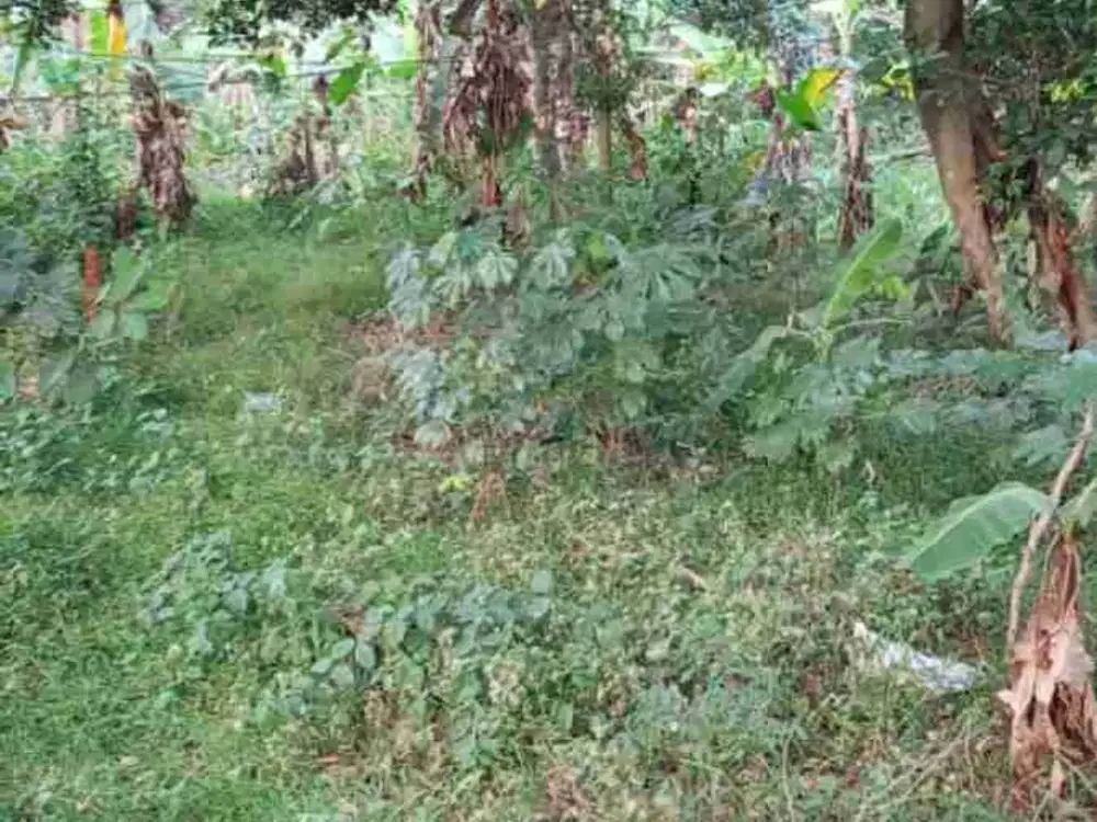 Dijual lahan di sumur batu Bantar gebang