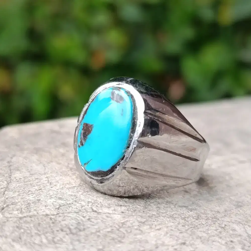 Pirus Persia Fancy Cerah