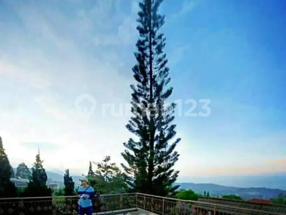 Jual Segera Villa Bagus,taman Luas,view Cantik Di Lembang