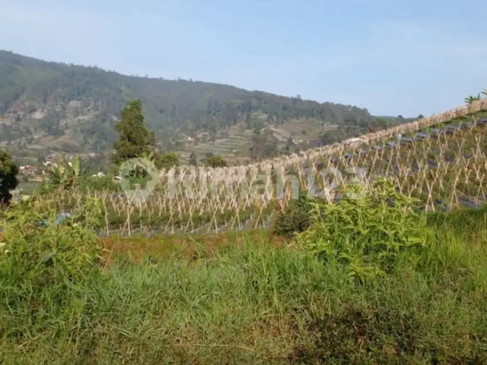 Tanah Dengan Top View Untuk Villa Di Lembang Bandung