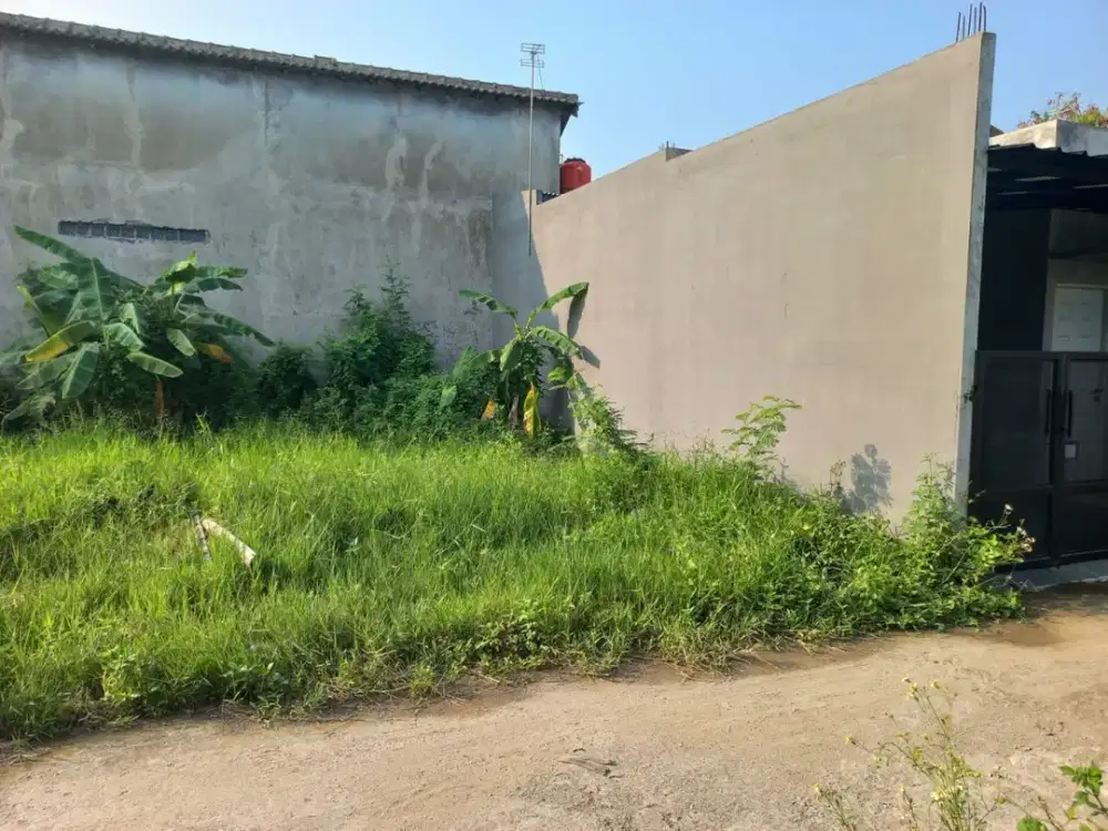Tanah Kavling, Laladon Indah Baru, Murah, Investasi Lahan di Ciomas, Bogor Barat, Dijual