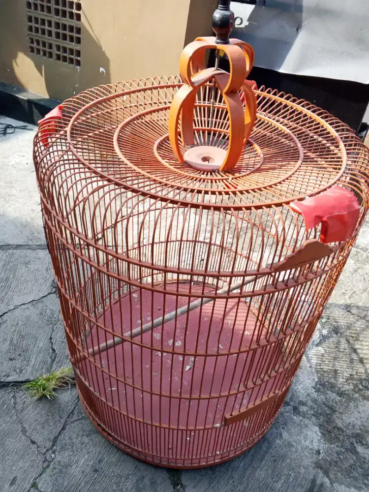 Jual kandang burung murai sesuai di foto