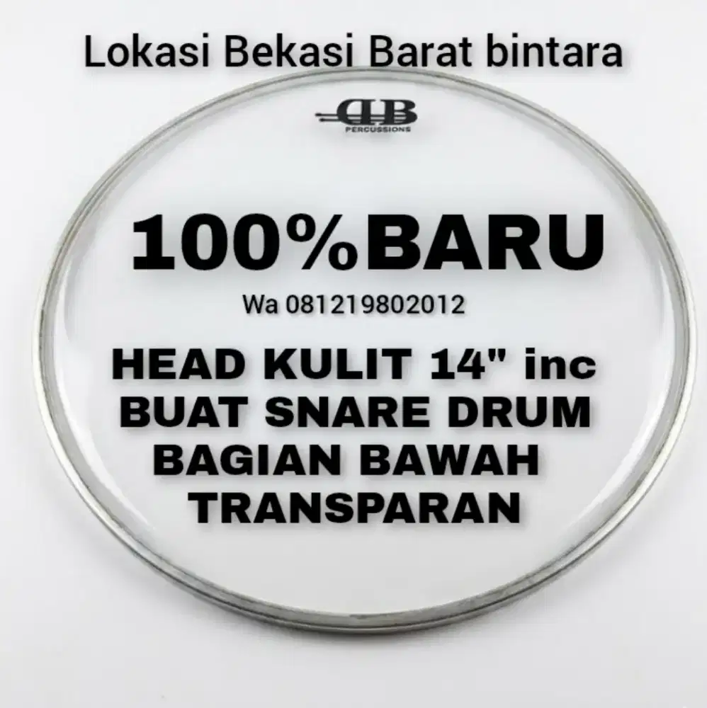100%br KULIT SNARE 14' BAWAH DB CHINA
