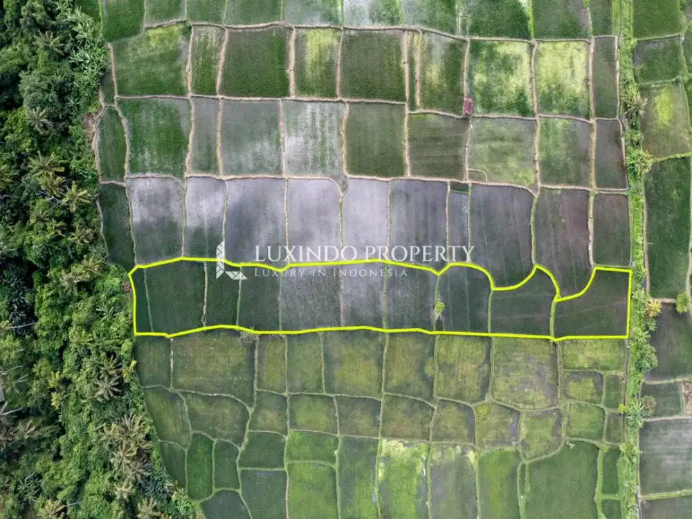 DIJUAL TANAH SELUAS 32 ARE DI SAKAH, GIANYAR