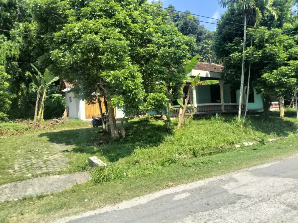 Tanah Pekarangan Bonus Rumah di Kasihan Bantul#Kode : TP 049
