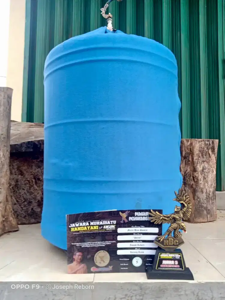 Murai batu ring APBN  ex lapang ISTIMEWA