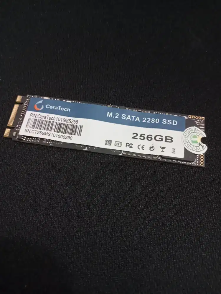 SSD M.2 SATA 256GB NORMAL