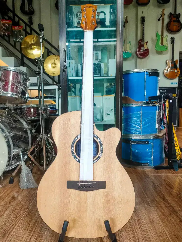 GITAR AKUSTIK DLUXE DF110
