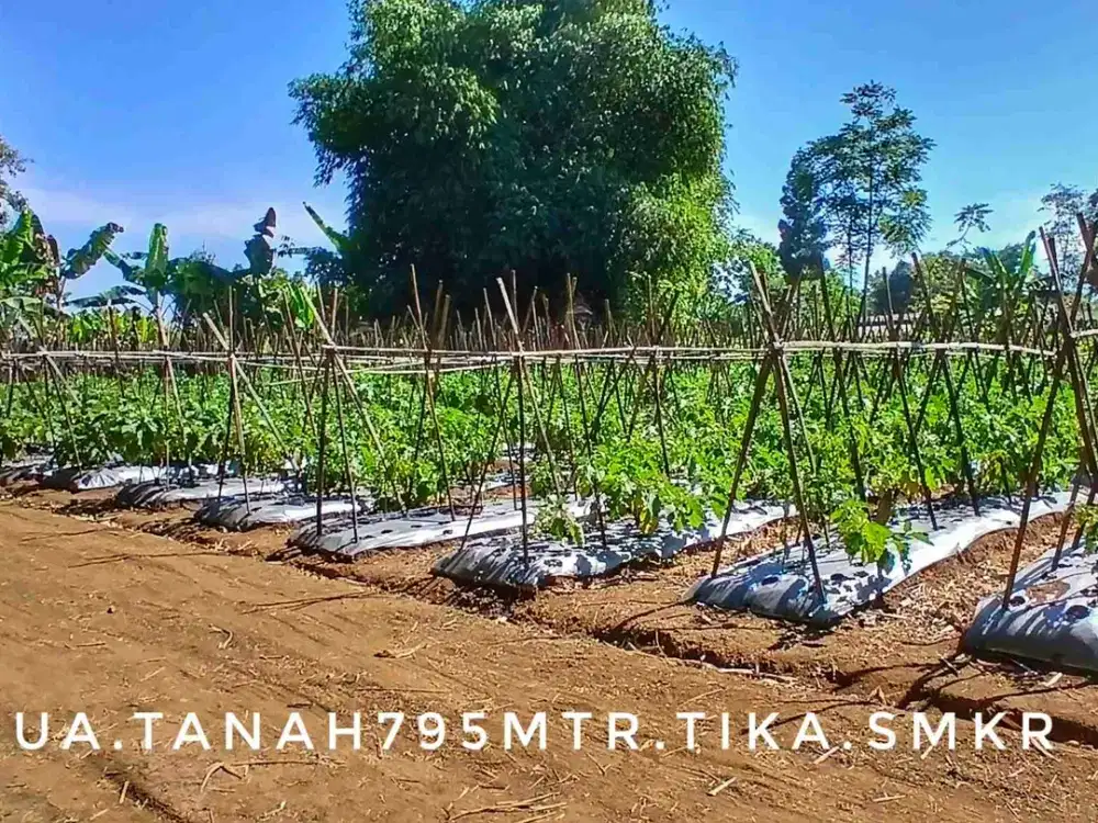 Dijual tanah luas subur pinggir jalan strategis lingkungan asri dekat kota