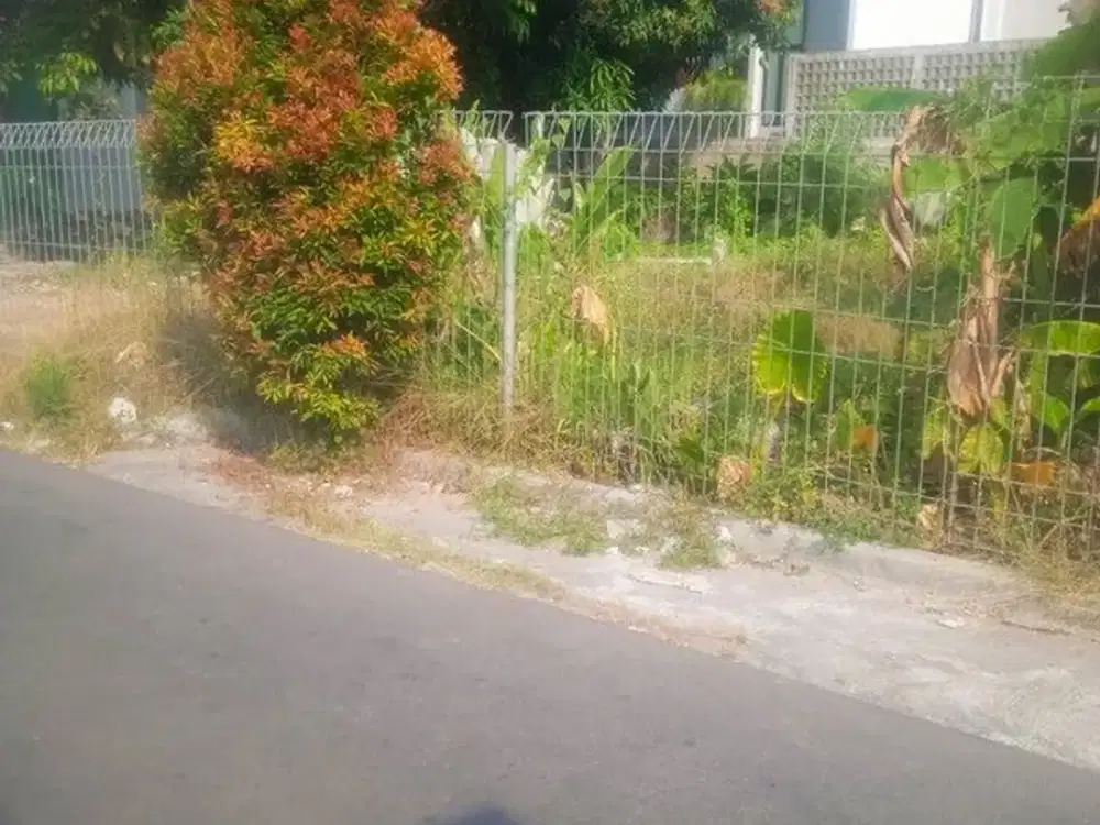 Disewakan Tanah Sawah Lokasi Strategis di Kawasan Berkembang Nogotirto - Gamping Sleman
