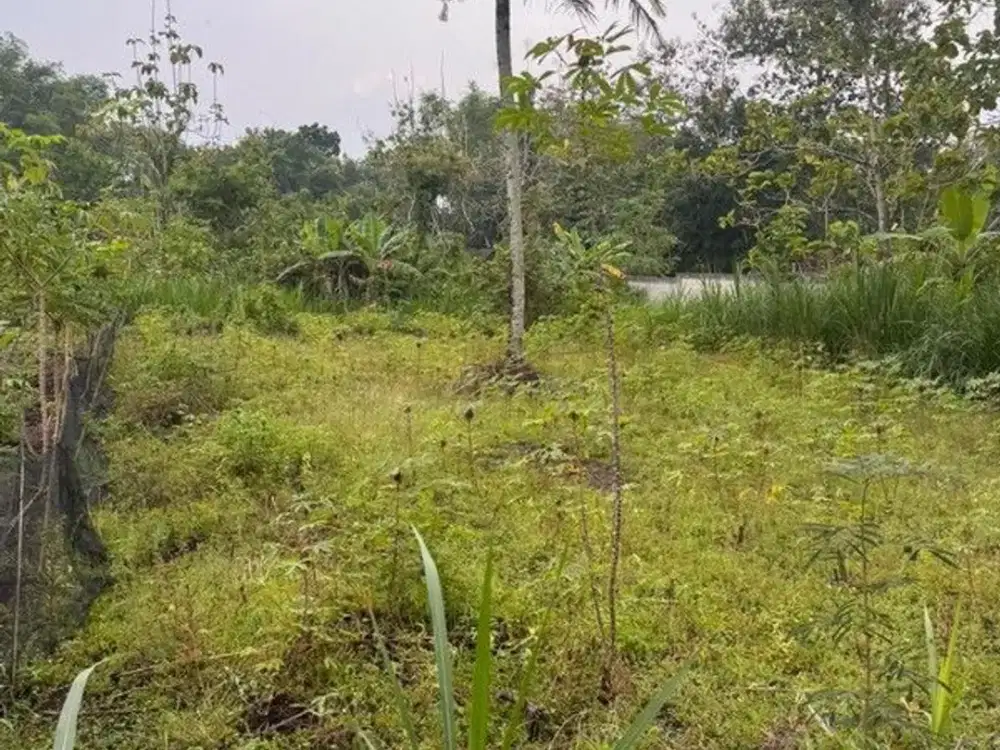Tanah Dijual di Sentolo Kulon Progo - Cocok untuk Hunian & Investasi