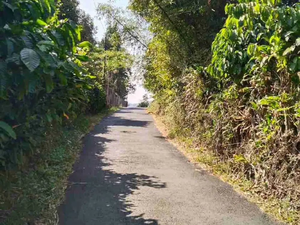 tanah darat kebun