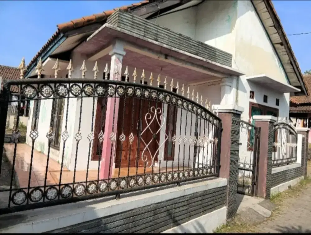 Rumah Asri dan Halaman Luas