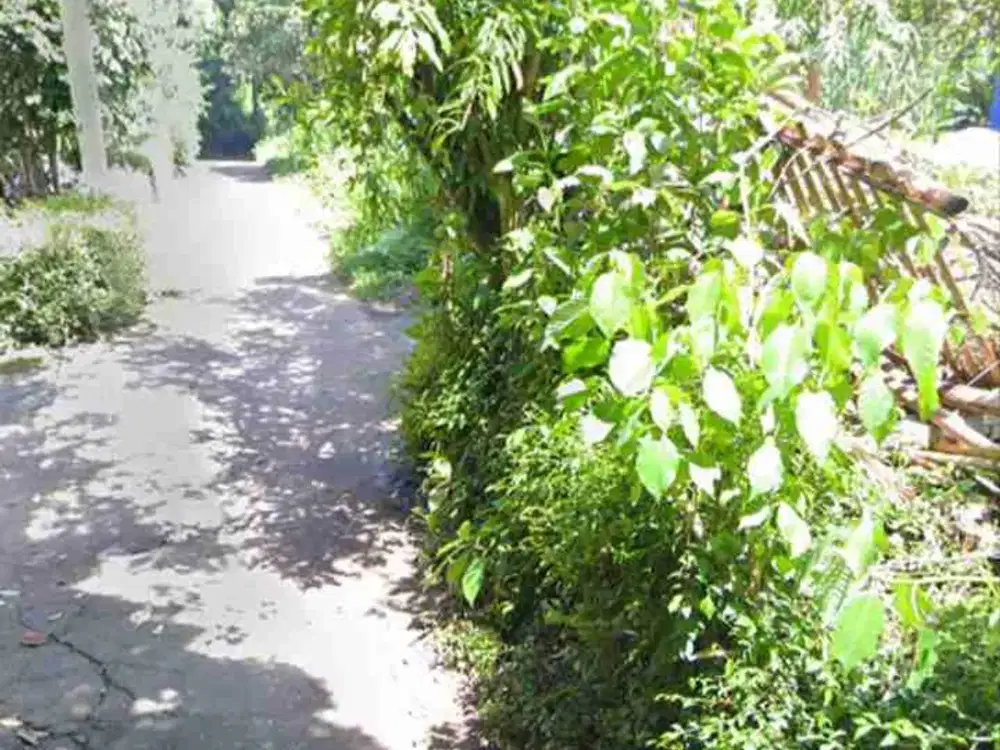 dijual tanah murah,dekat candi borobudur