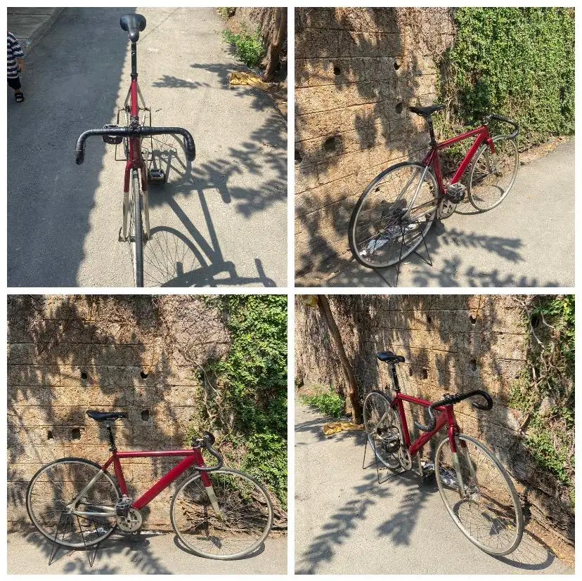 Fixie Soloist 77