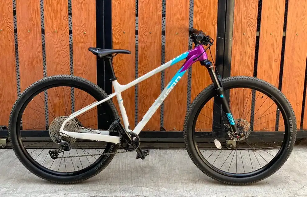 Polygon Xtrada 7 2024