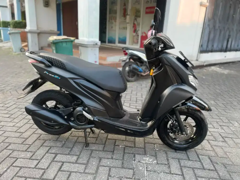Freego 2019 Pajak Panjang