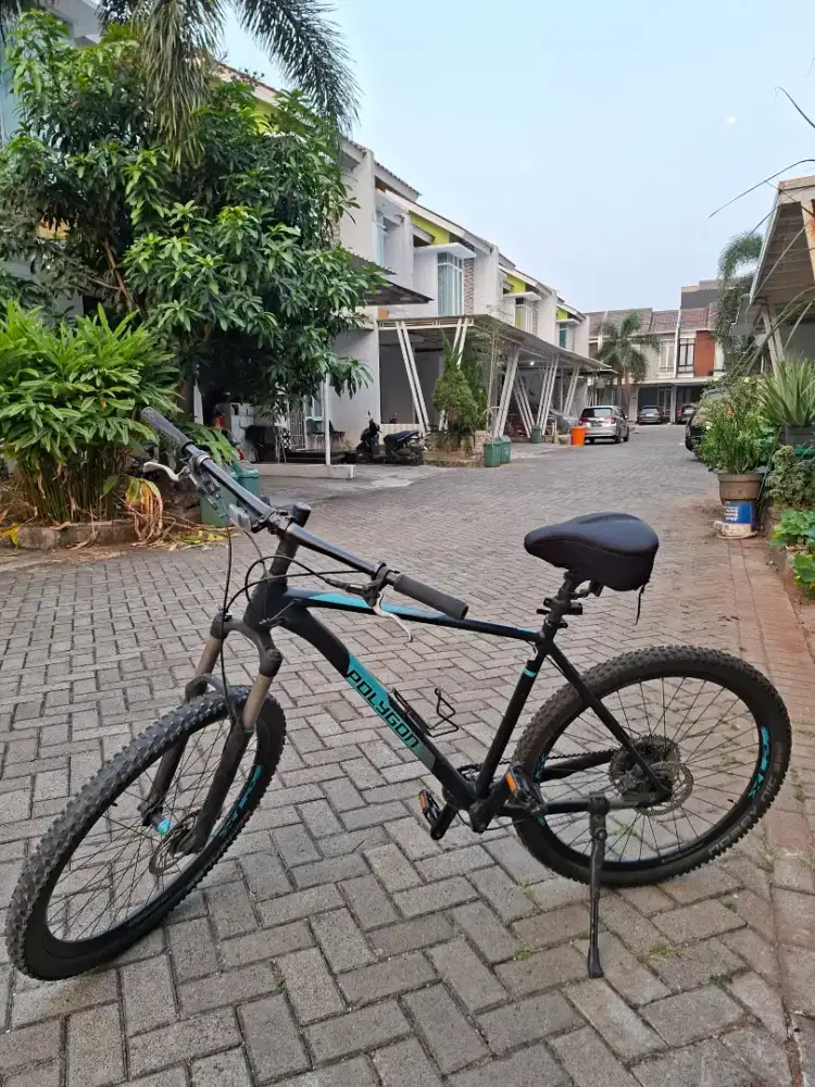 Polygon Xtrada 8 2019